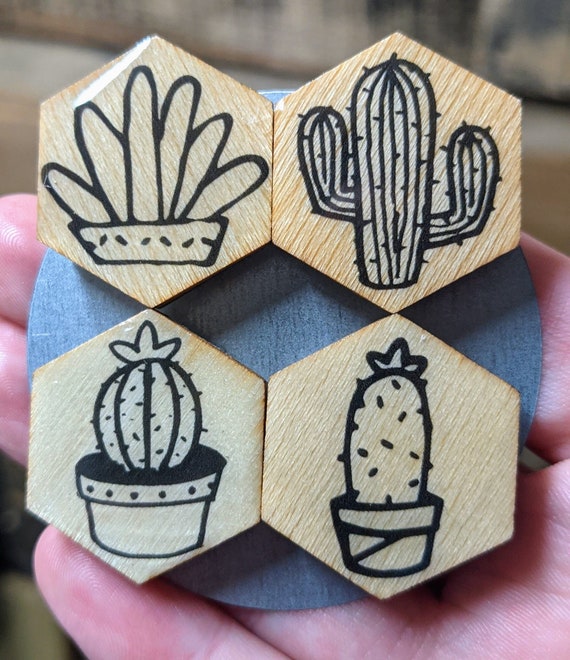 Succulents resin magnets Succulents resin magnets