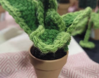 Small crochet snake plant