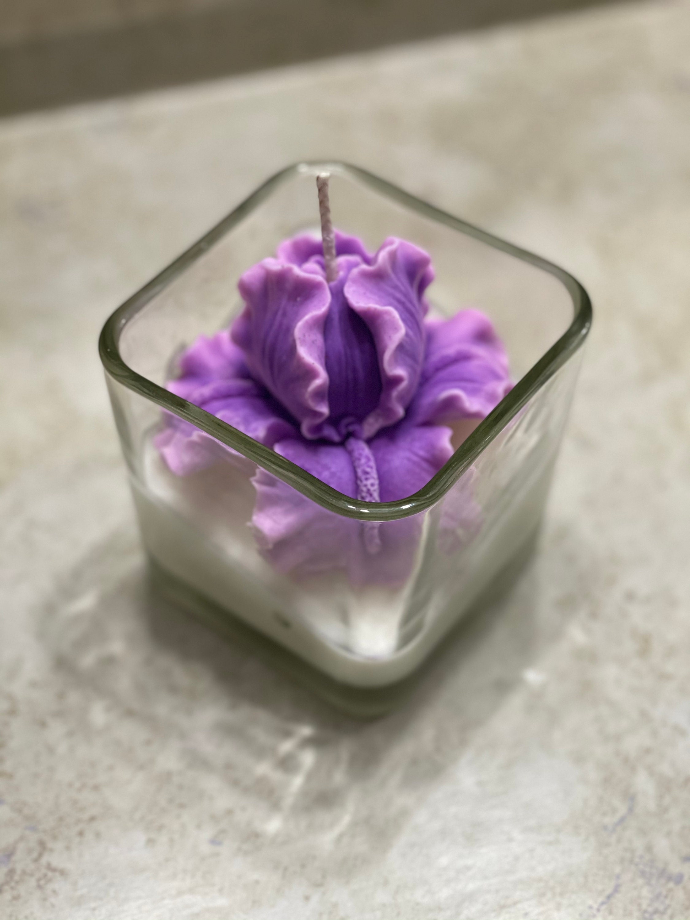 Terrarium Succulent Soy Candle Iris Mini Terrarium Candle Etsy