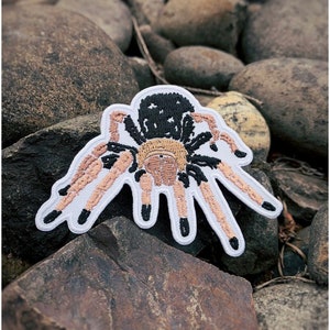 Peut inclure: Un patch brodé blanc représentant une tarentule brune et noire avec huit pattes.