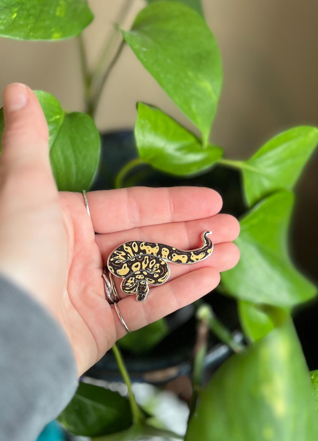 Ball Python Hard Enamel Pin - Etsy