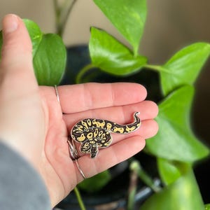 May include: A yellow and black enamel pin of a snake curled up. The pin is being held in someone's hand.