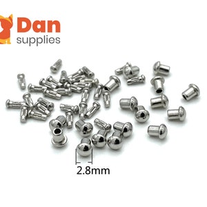 May include: A collection of small, shiny silver rivets with a rounded head and a 2.8mm diameter. The rivets are scattered on a white surface. The logo "Dan supplies" is in the top left corner.
