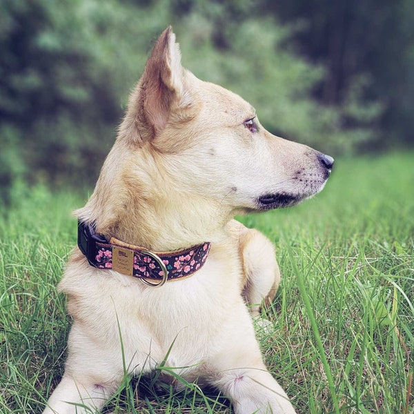 Hundehalsband oder Hundegeschirr SAKURA, mit Kirschblüten, Kork, Kunstleder, rosa und schwarz, Halsband, Hunde, Design, romantisch, floral
