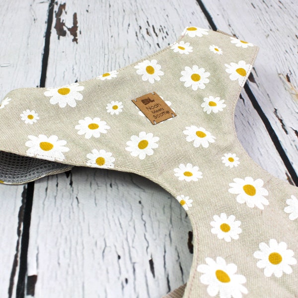 Soft harness for dogs with daisies, flowers, natural, beige and white, dogs, dog harnesses