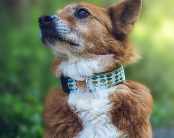 Fallen Leaves Dog Collar or Harness – Leaf Pattern, Green-Olive, Autumnal, Dogs, All Sizes, Adjustable, Stylish, Leaves