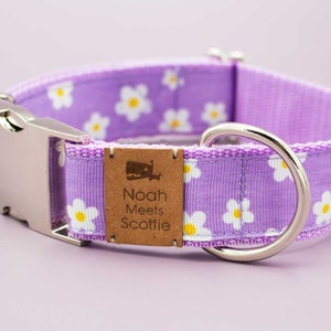 Dog collar or dog harness with flowers, daisy, lilac, purple, floral, floral, violet, dog collar, dog leash