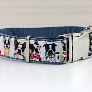 Dog collar with french bulldog, dog, modern, webbing, collar, dog leash, bulldog, photography