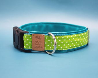 May include: A turquoise and green dog collar with white polka dots and a brown leather tag that says "Noah Meets Scottie".