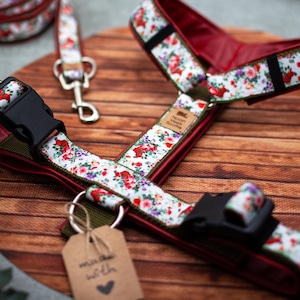 May include: A floral dog harness and matching leash set. The harness features a red interior and a white fabric exterior with a pattern of red, purple, and pink flowers. The set includes a black buckle and a metal leash attachment.
