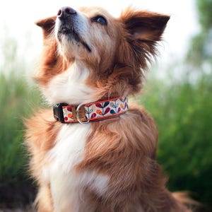 Dog collar or dog harness LISA – leaf pattern, autumnal, orange, brown lining, handmade, dog collar autumn, dog leash