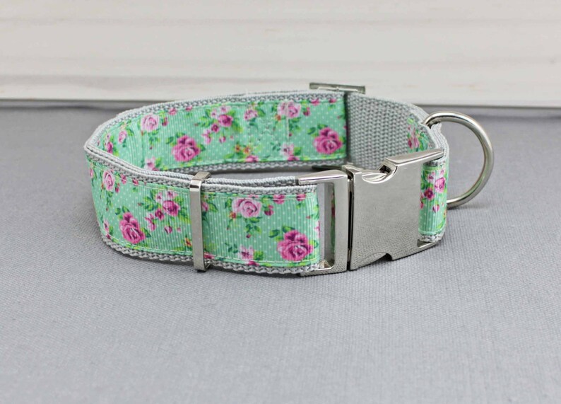 classy dog collar