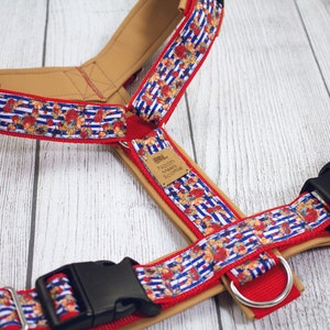 Può includere: Un'imbracatura per cani con motivo rosso e blu con schienale in pelle marrone. L'imbracatura ha una fibbia nera e un anello argentato. L'imbracatura ha un piccolo cartellino marrone che dice "Noon Mean Scootie".