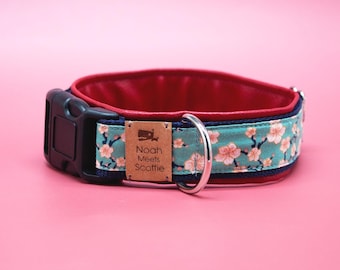 パラコード®犬用首輪（名前タグ付き） - オンブレターコイズ - レザー