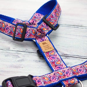 Könnte beinhalten: Ein Hundegeschirr mit einem lebendigen Paisley-Muster in Pink, Orange und Blau. Das Geschirr hat eine blaue Einfassung und schwarze Schnallen. Ein kleines Lederetikett trägt die Aufschrift "Noah Meets Scottie".