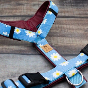 Dog harness DAISY MAISY, with imitation leather, daisies, floral, blue and yellow, floral, dogs, harness, pets, modern, trendy