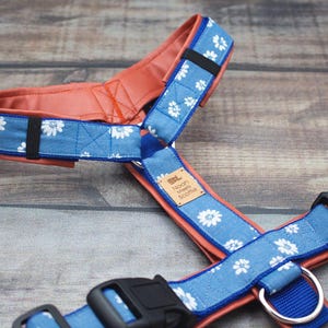 May include: A blue and orange dog harness with white daisy print and a black buckle. The harness has a small brown leather tag that says "Woof Meow Boutique".