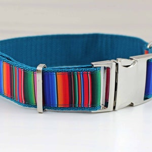 Dog collar with stripes, turquoise, green, red, geometric, dog, modern, webbing, collar, dog leash