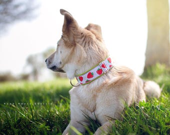 Hondenhalsband of tuig EDDA – aardbeien, wit, groen, vrolijk, lente, zomer, lichtgroen, fruit, rood, voor kleine en grote honden