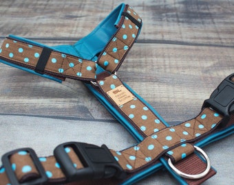 Dog harness EMIL with imitation leather, dots, brown and turquoise, dark brown, dotted, pattern, dog owners, dogs, chest harness, leather