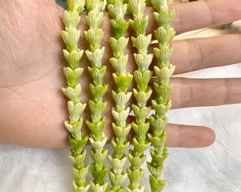 Light-Green Hawaiian Pakalana Flower Beads,Composite Resin Coral Colorful Pakalana Beads,For Lei Making,Car Lei,Hawaiian Lei Jewelry,10*12mm