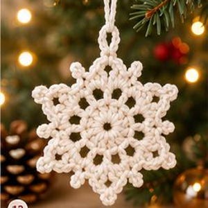 May include: A white crocheted snowflake ornament featuring a six-pointed star design with intricate openwork loops and a central circular motif. The ornament includes a matching white cord loop at the top for hanging and displays the number 13.