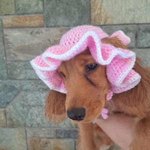 Dog sale fishing hat