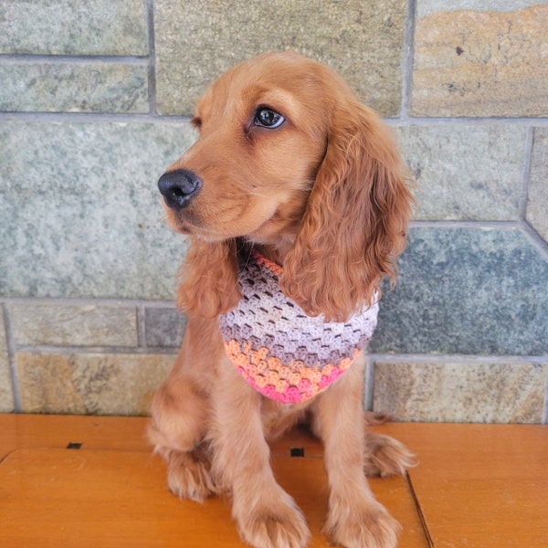 Gehaakte hond bandana patroon gehaakt patroon PDF gehaakte hond sjaal gehaakte huisdier bandana haak voor honden gehaakte hond accessoire Instant Download