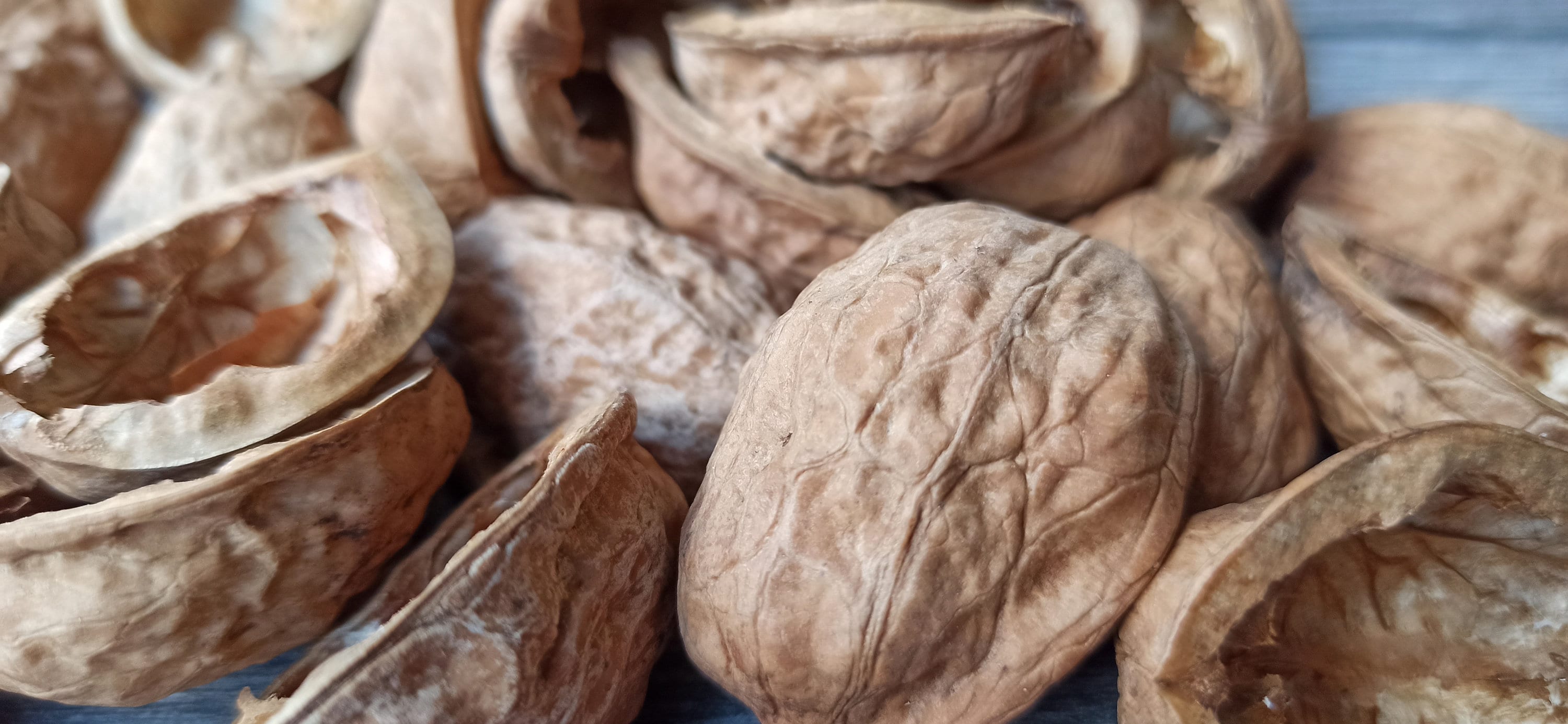 Organic walnut shell halves Natural craft supplies DIY Etsy