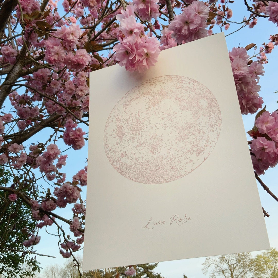 Pink Moon Limited Edition A3 Print - Etsy