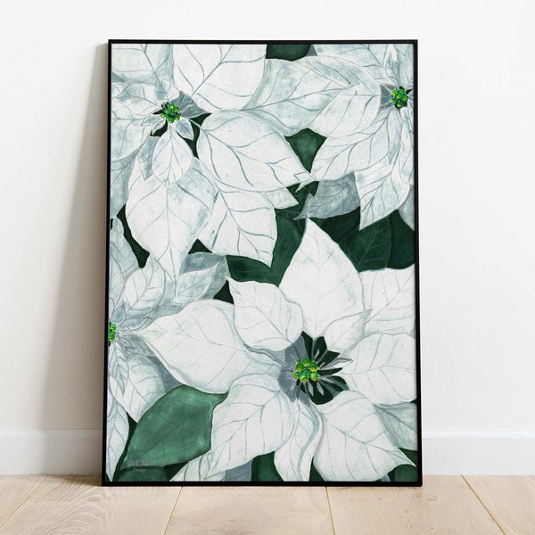 Illustrazione Fiori poinsettia bianchi/Stampa artistica fiori e piante bianchi/Decorazione da parete fiori invernali/Decorazione fiori
