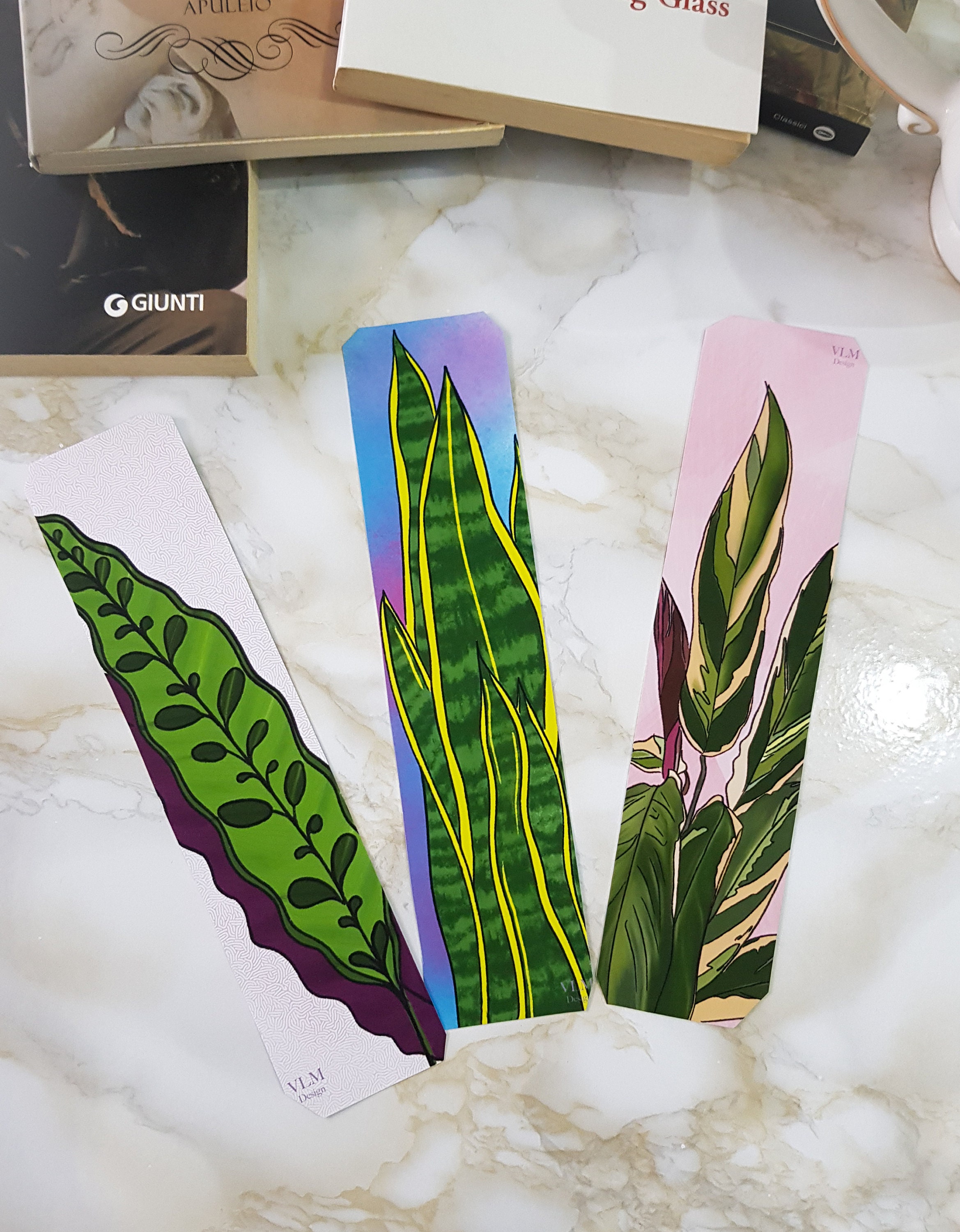 Set of 3 Bookmarks/house Plant Bookmarks/tropical Plants Set of 3