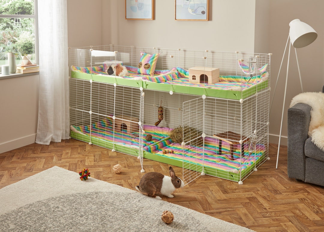 Deluxe Guinea Pig Habitat: 6x2 Candc Cage With Coroplast Base 