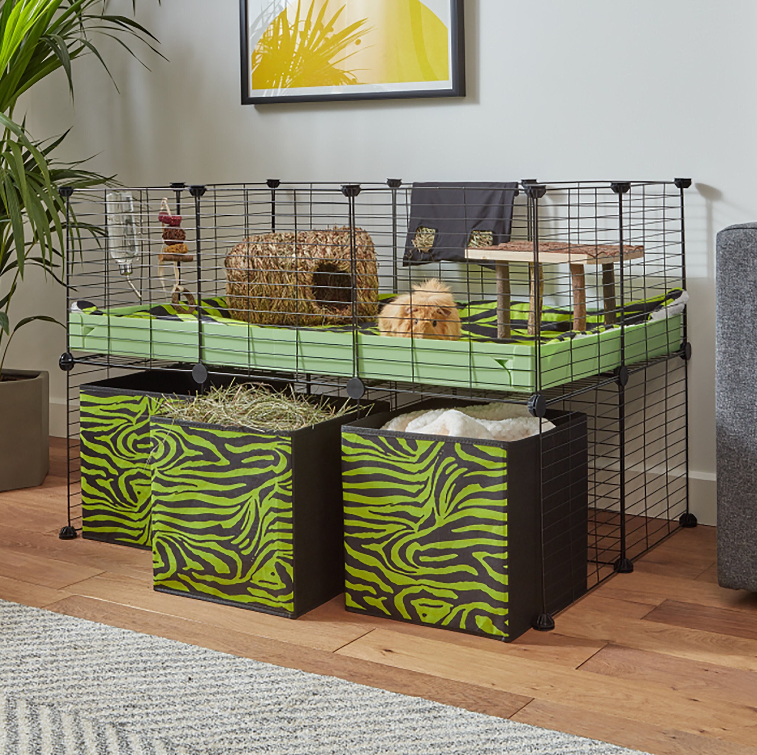 C & C Guinea Pig Cages