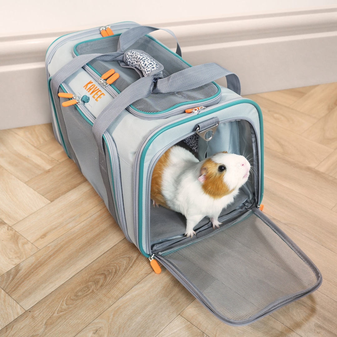 Guinea Pig Carrier bunny Carrier Rabbit Carrier Hamster Carrier