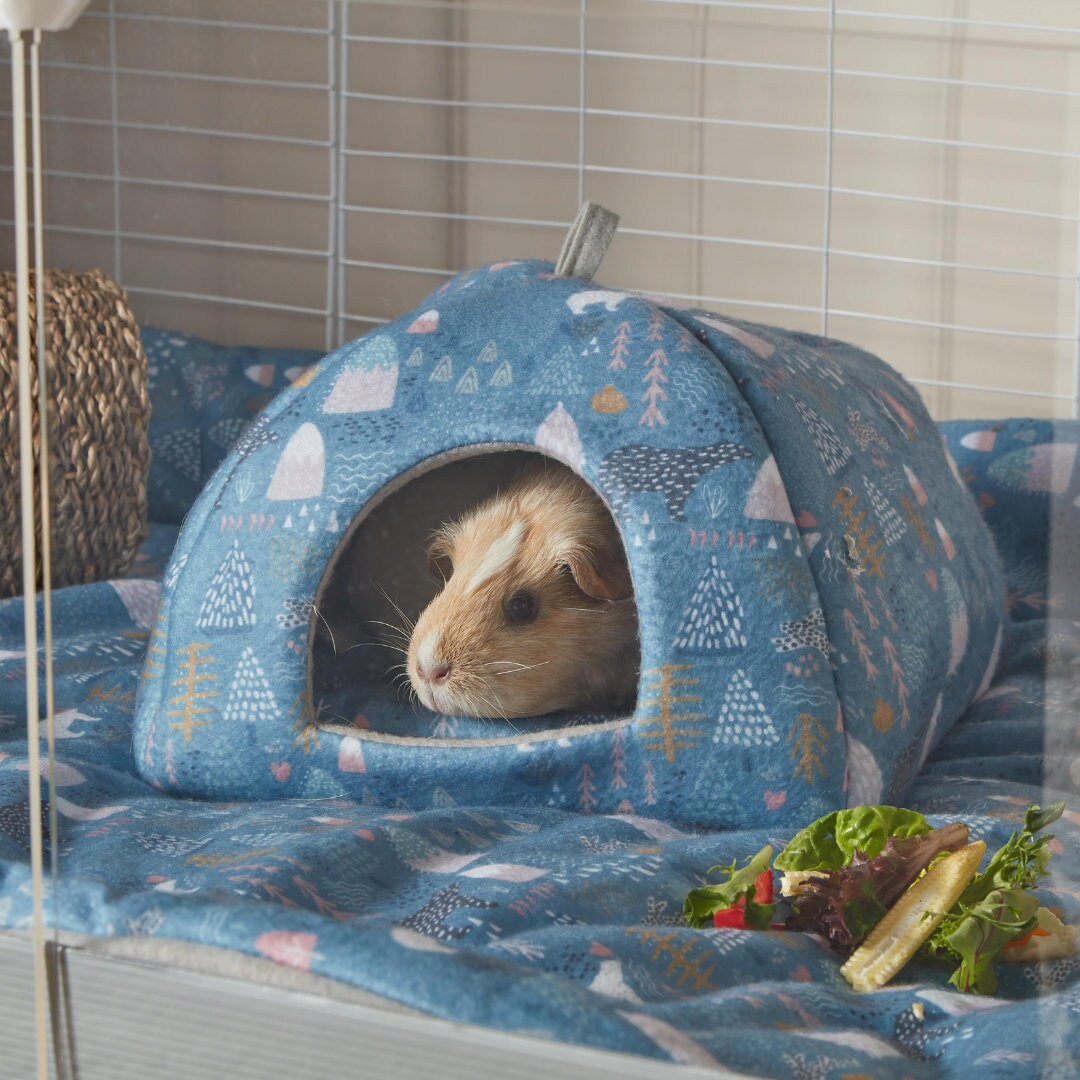 Cozy Winter Wonderland Guinea Pig Hidey With Washable Pee Pad Etsy