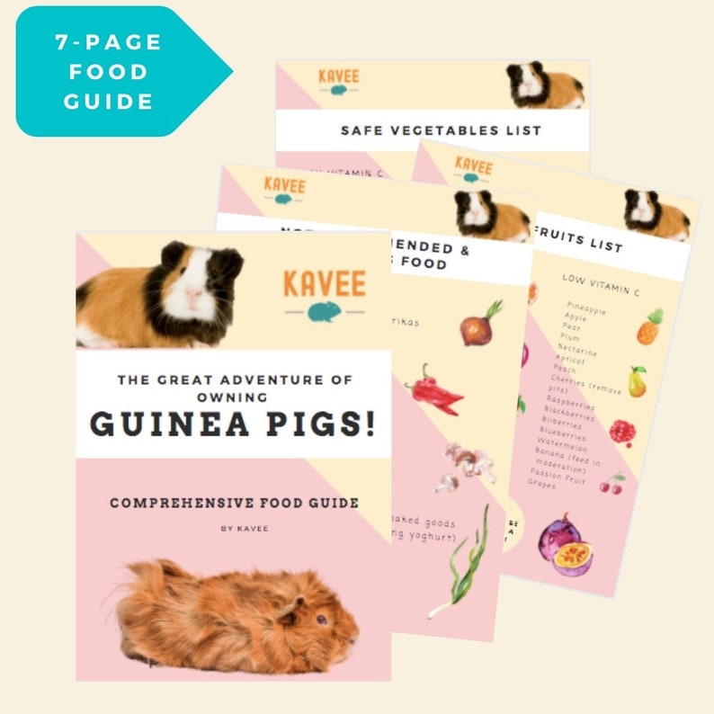 Guinea Pig Food Guide &amp; Food Lists Printable Digital - Etsy France
