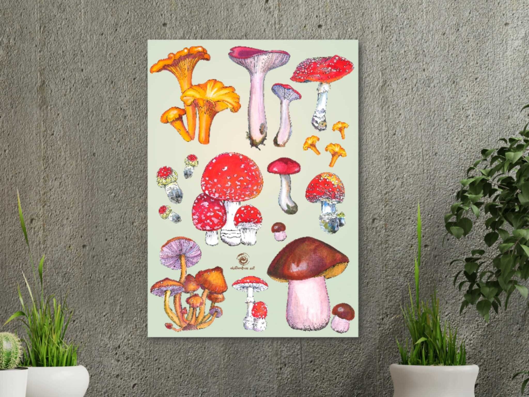 Mushroom Poster A2 Digital Download Mushroom Art Digital | Etsy UK