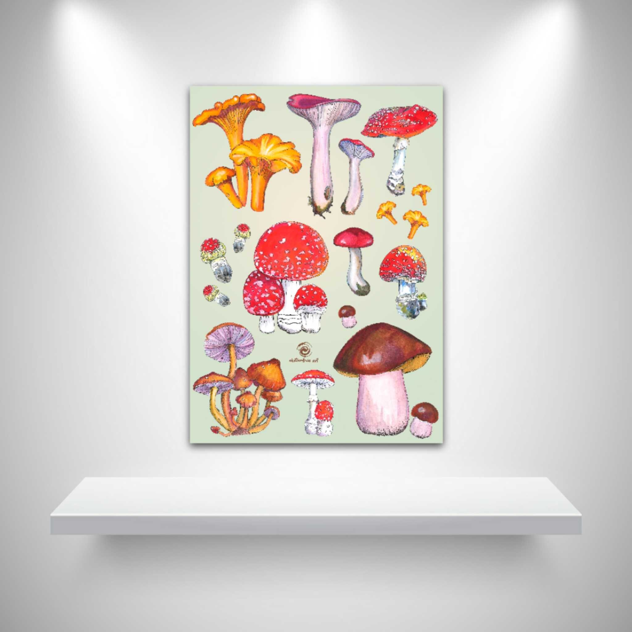 Mushroom Poster A2 Digital Download Mushroom Art Digital | Etsy UK