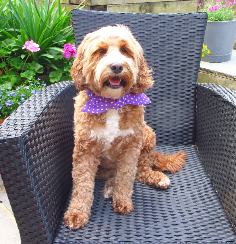 Dog Neckerchief Neck Tie Bow Ties Bows Neckwear Dog Etsy UK