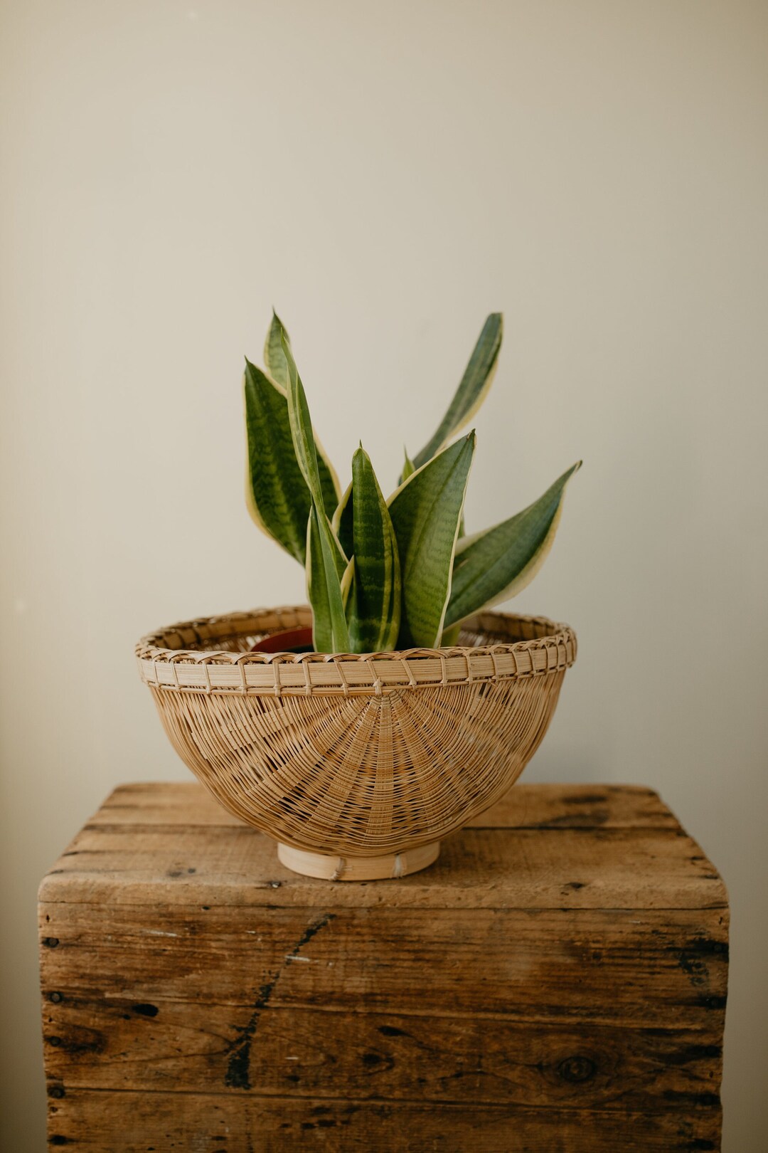Oval Wicker Plant Basket Wicker Plant Stand Planter Etsy
