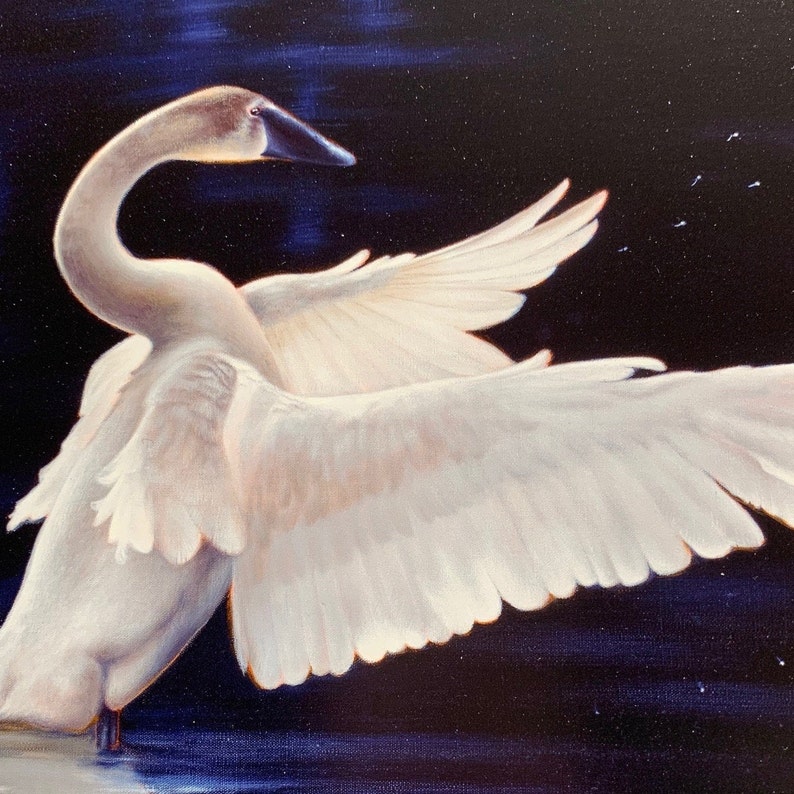 Swan Oil Painting Giclee Print