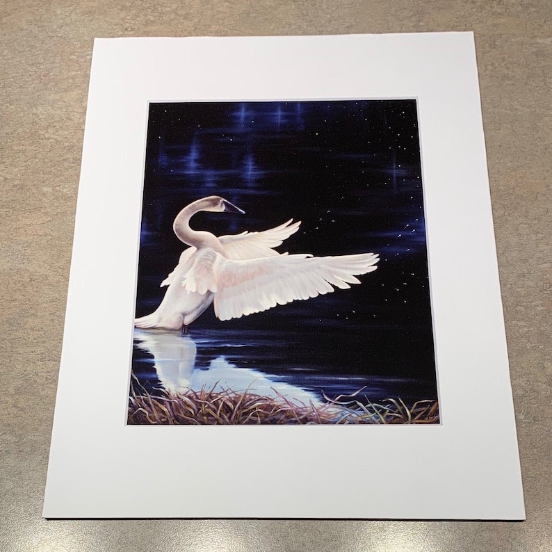 Swan Oil Painting Giclee Print