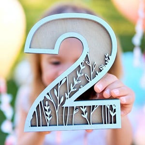 Número floral personalizado para sessão de fotos de aniversário, adereço para festa de idade, decoração de berçário de flores silvestres, números de blocos de flores, corte a laser delicado
