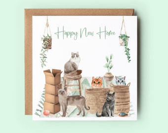 Cat Background Clear Stamps For Card Making - 11x16cm Transparent Craft Stamps