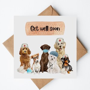 Dog get well basket sale