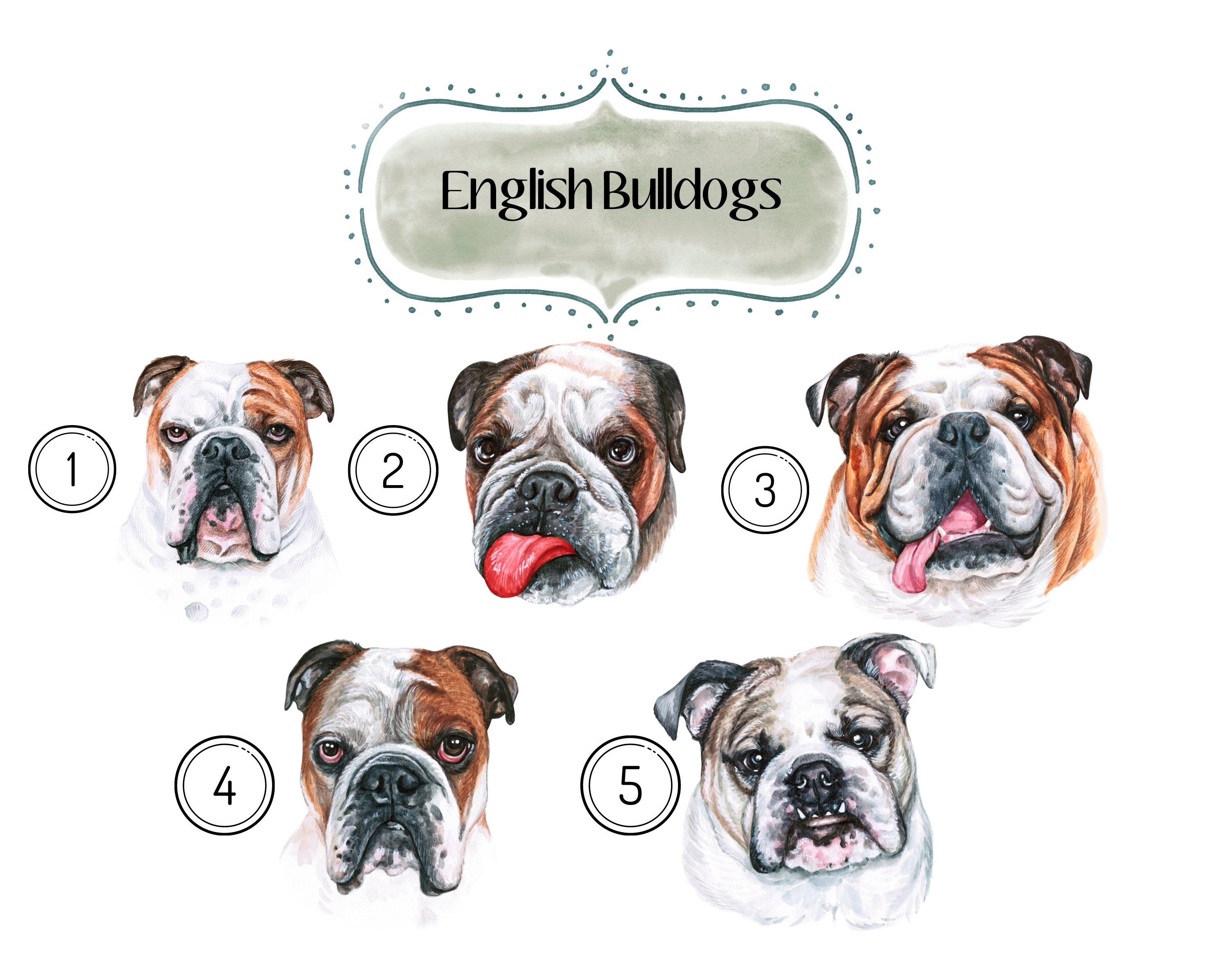 Bulldog Personalised Print, English Bulldog, Dog Print, Personalised Dog  Portrait - Etsy Israel, image size:3000x2400