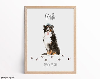 Lámina personalizada de perro de montaña bernés, retrato de perro personalizado para pared.