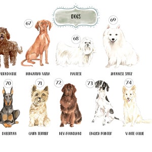 Personalised Dog Print,Various Dog Breeds, Home Is Wherever Your Dog Is, Home Prints, Wall Art, Dog Lover Gifts image 6