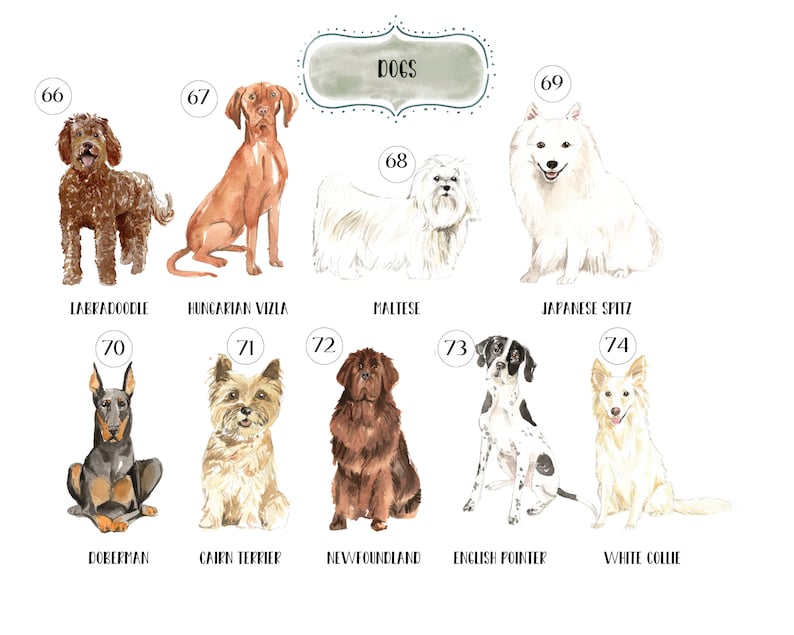 Personalised Dog Print,Various Dog Breeds, Home Is Wherever Your Dog Is, Home Prints, Wall Art, Dog Lover Gifts image 6